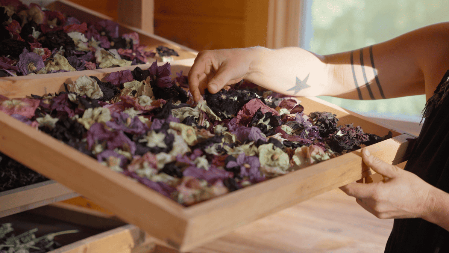 Herboristerie La Fée des Bois Apothecary