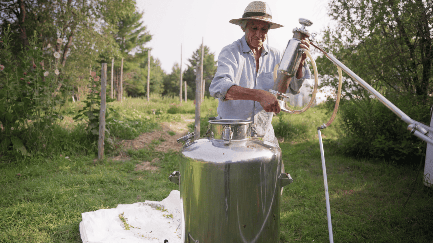 Herboristerie La Fée des Bois Apothecary