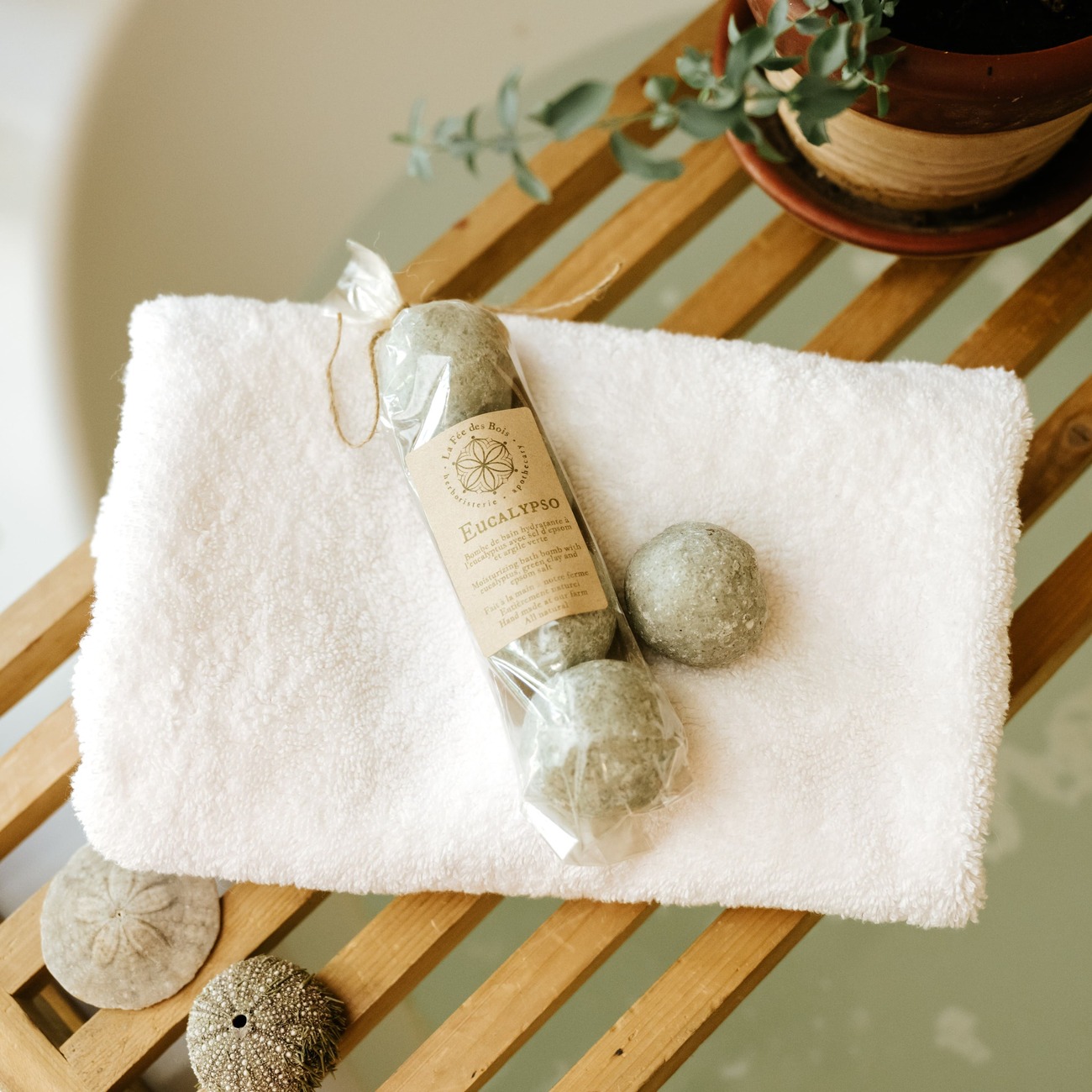 Bombes de Bain Eucalypso