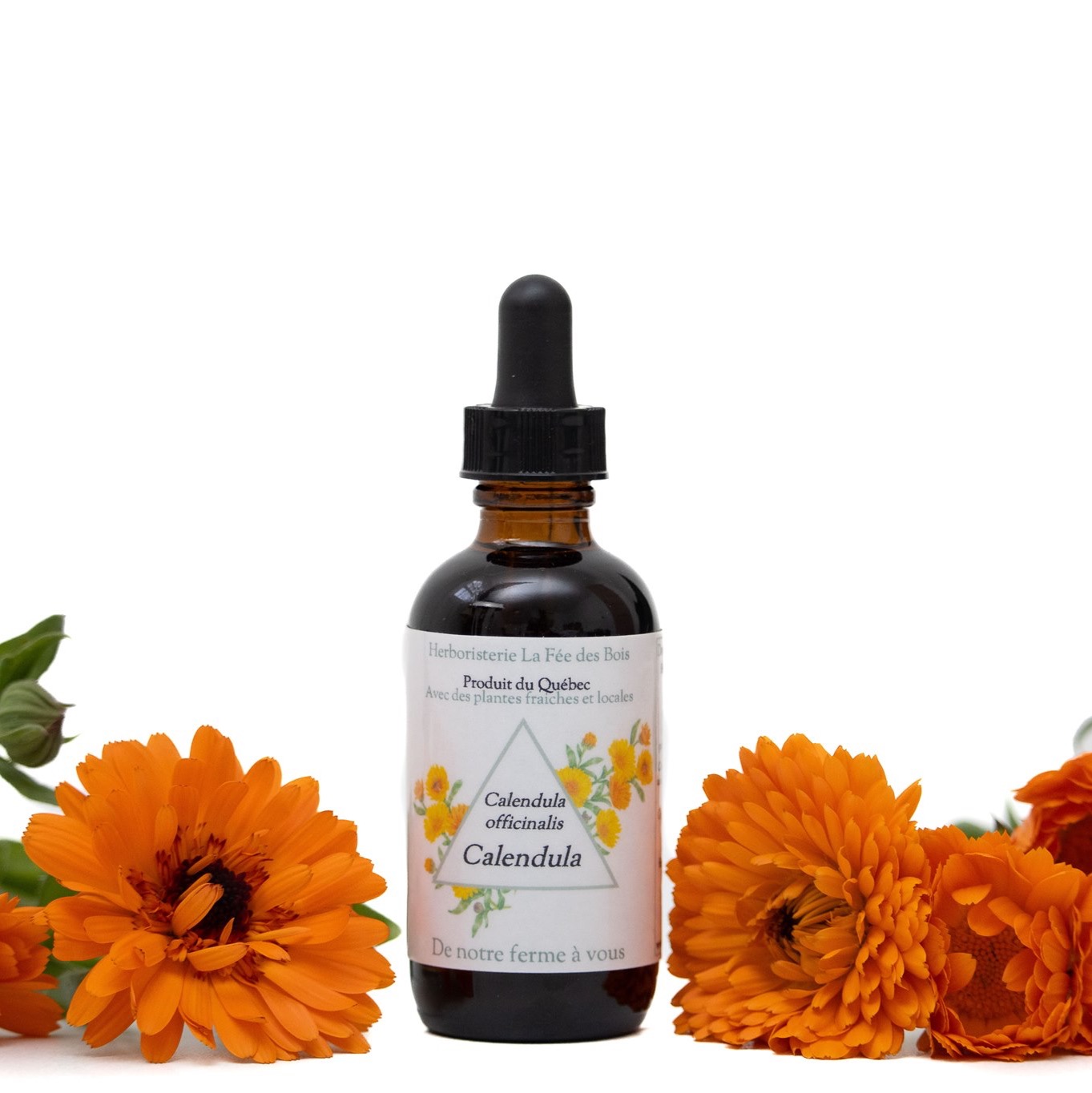 Teinture Calendule