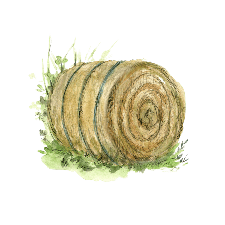 Paillis et engrais vert Herboristerie La Fée des Bois