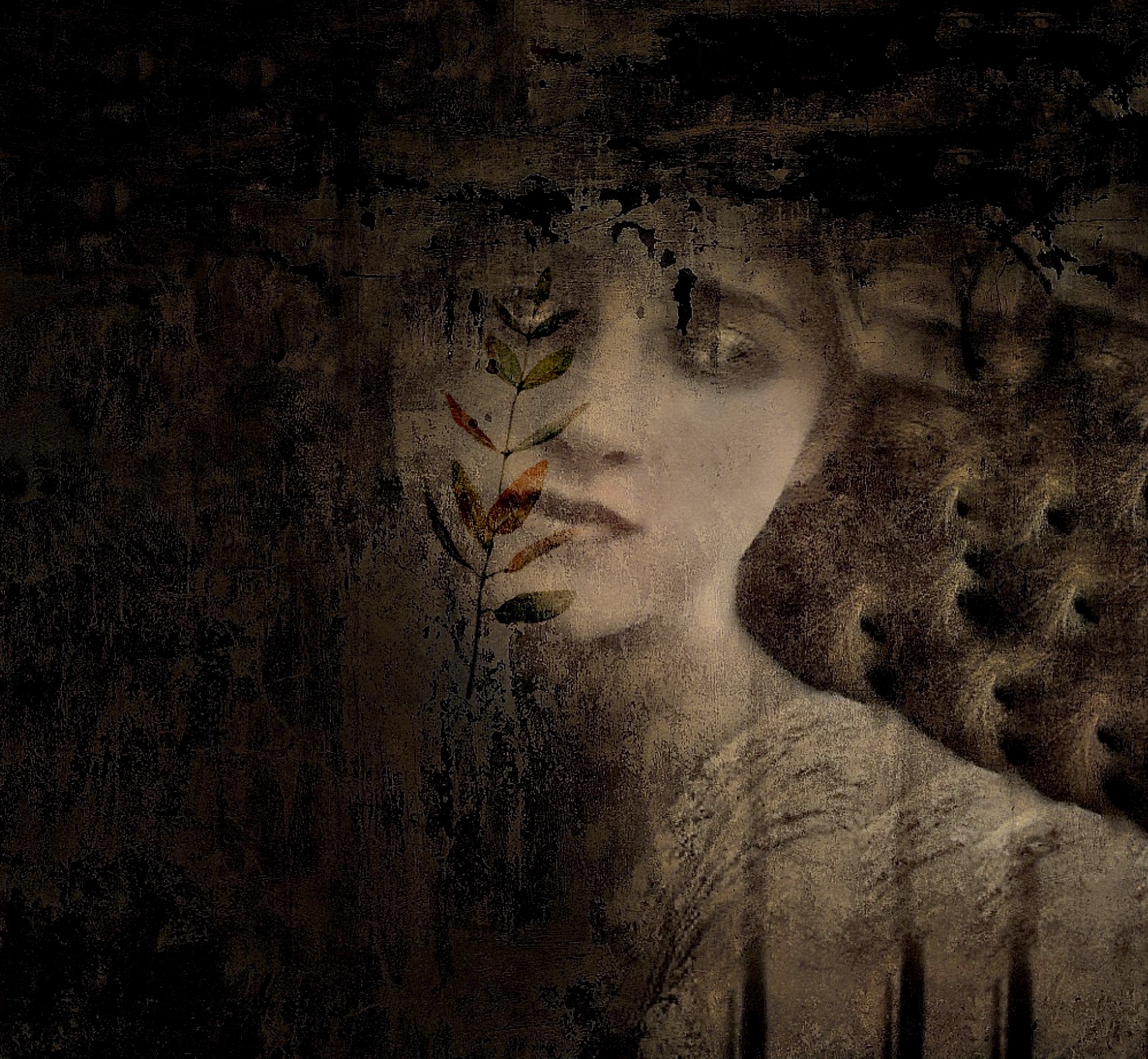 GAÏA - CASSIOPÉE ART