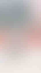 flourish las vegas, vegas florist, vegas florists, las vegas flowers, las vegas weddings, las vegas elopement, las vegas wedding, vegas, florists, bride, desert bride, vegas bride, vegas elopement photographer, las vegas wedding photographer, vegas elopement photographer, wedding photographer, bridal portraits, bridal inspo, downtown vegas, art murals, art installation