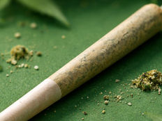 Pre-Rolls Done Right: Inside Cannabis’s Fastest-Growing Product Category