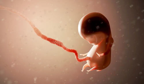 What Does the Bible Say About Abortion?