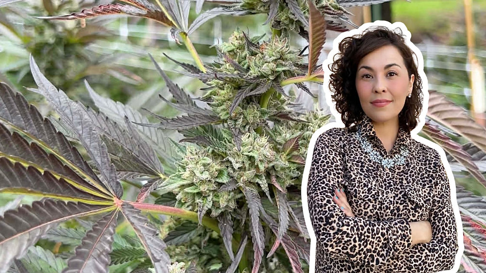 Cannascience: Understanding the Endocannabinoid System