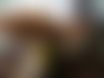 Psilocybin is Helping Veterans Heal – One Dose, One Day at a Time