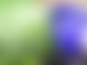 Pennsylvania Court Orders Release of Medical Marijuana Data