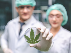 Bipartisan Cannabis Research Bill Makes History as it Reaches President's Desk