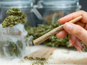 Ohio Initiates Voting Process for Adult-Use Cannabis Legalization