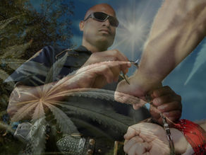 Major Drug Busts in North Carolina: A Comparative Analysis of Law Enforcement Strategies