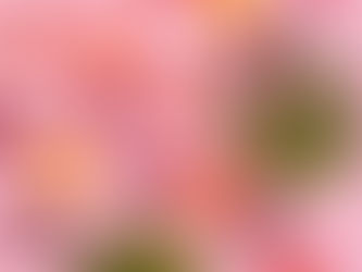 Tips for Safely Consuming 500mg THC Edibles