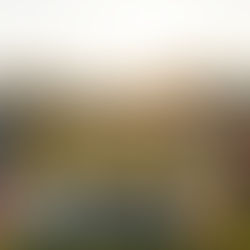 why the Fourth of July matters