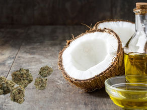 The Benefits of Making Cannabis Coconut Oil at Home