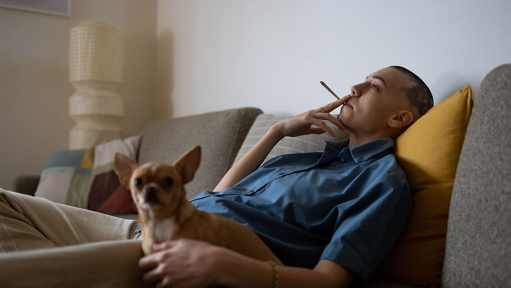 High Yesterday, Positive Today: The Problem With THC Testing