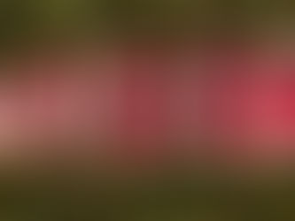 Are Cannabis Edibles Disguised as Candy Targeting Kids? Missouri Cracks Down!