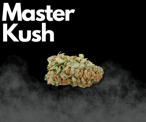 Master Kush Strongest Indica Strains
