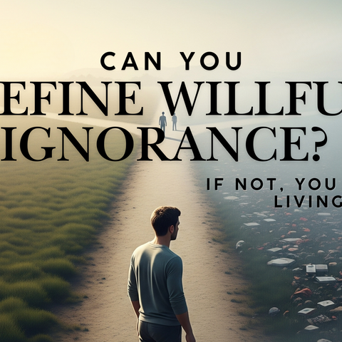 Can You Define Willful Ignorance