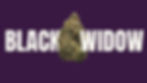 Darkest Weed Strain