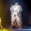 Spamalot