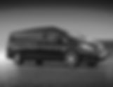 Autista Privato Luxury Minivan