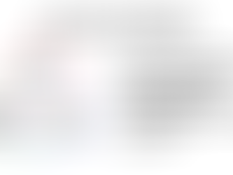 HET EERLIJKE ORGANIGRAM