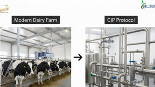 The Modern Dairy Farm: Implementing a Safe and Effective CIP Protocol