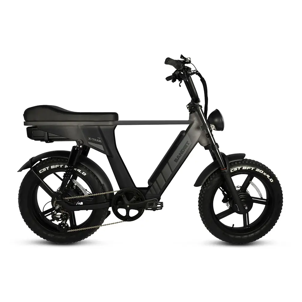 Thumbnail: Dual-Motor Full-Suspension Electric Fat Bike / Moped-Style E-Bike