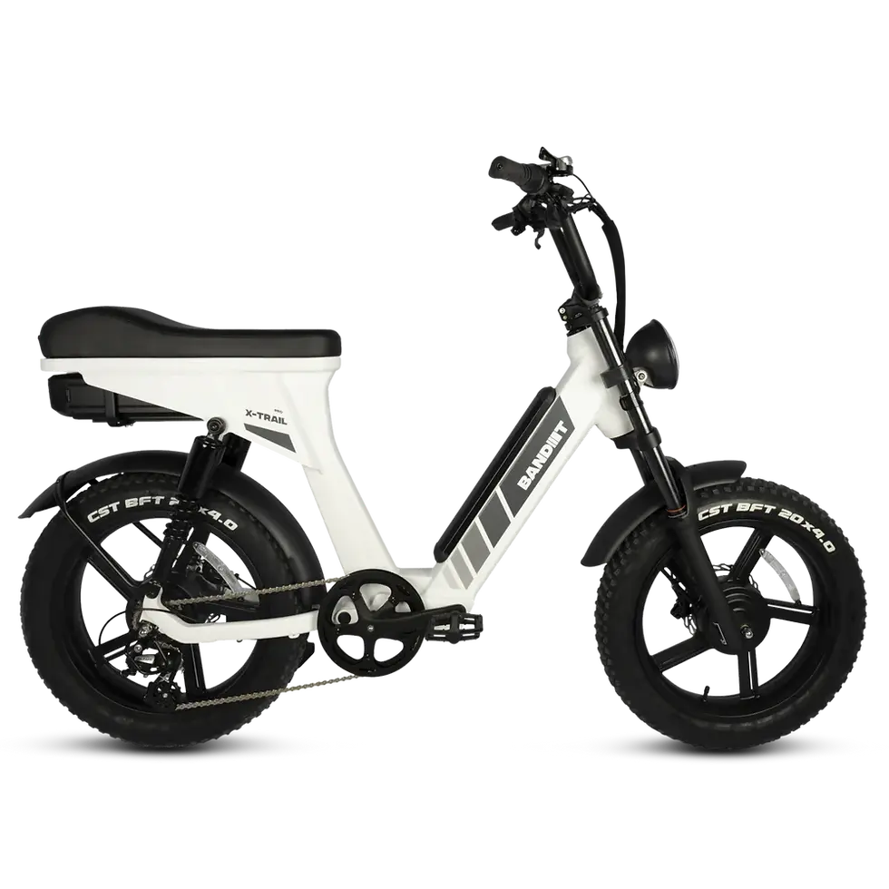 Thumbnail: Dual-Motor Full-Suspension Electric Fat Bike / Moped-Style E-Bike