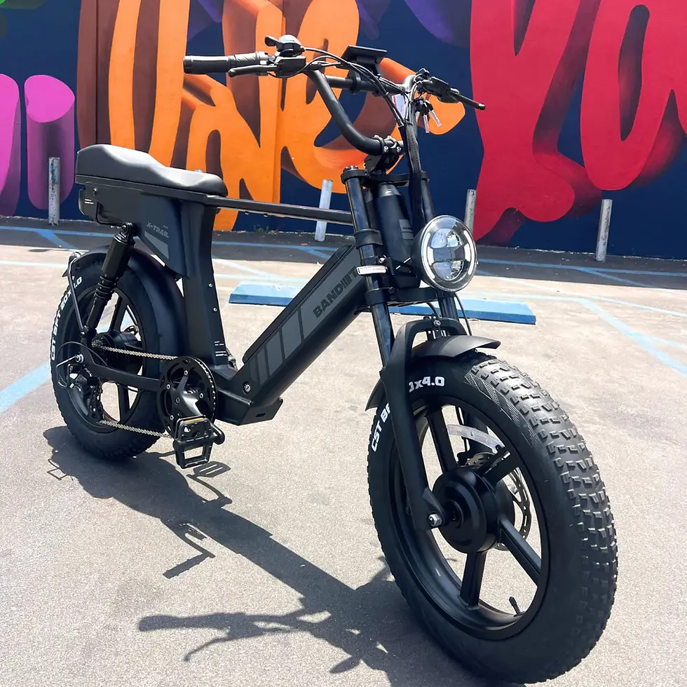 Thumbnail: Dual-Motor Full-Suspension Electric Fat Bike / Moped-Style E-Bike