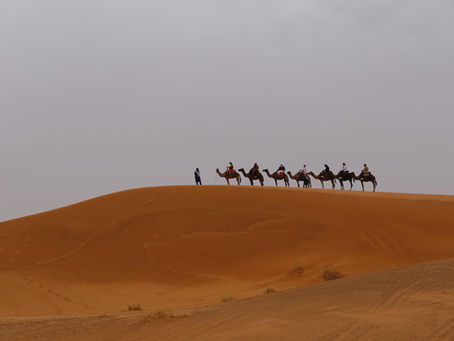A Night Under the Sahara Stars: Morocco vs. Tunisia