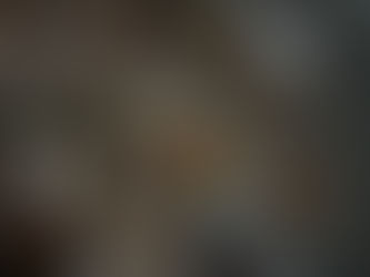 Craziest Foods I’ve Ever Tried (In My Opinion)