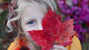 The Fall Crush: Keeping Your Piano Lesson Schedule Steady