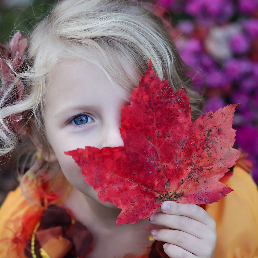 Awesome Autumn Day Camp! SOLD OUT