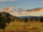 IMG_0308.jpeg