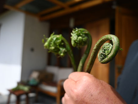 Nibbana Trails: Crafting Healing Journeys for Mind and Body