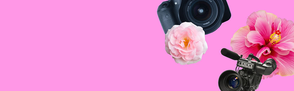 pink thin banner.jpg