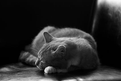 sleeping