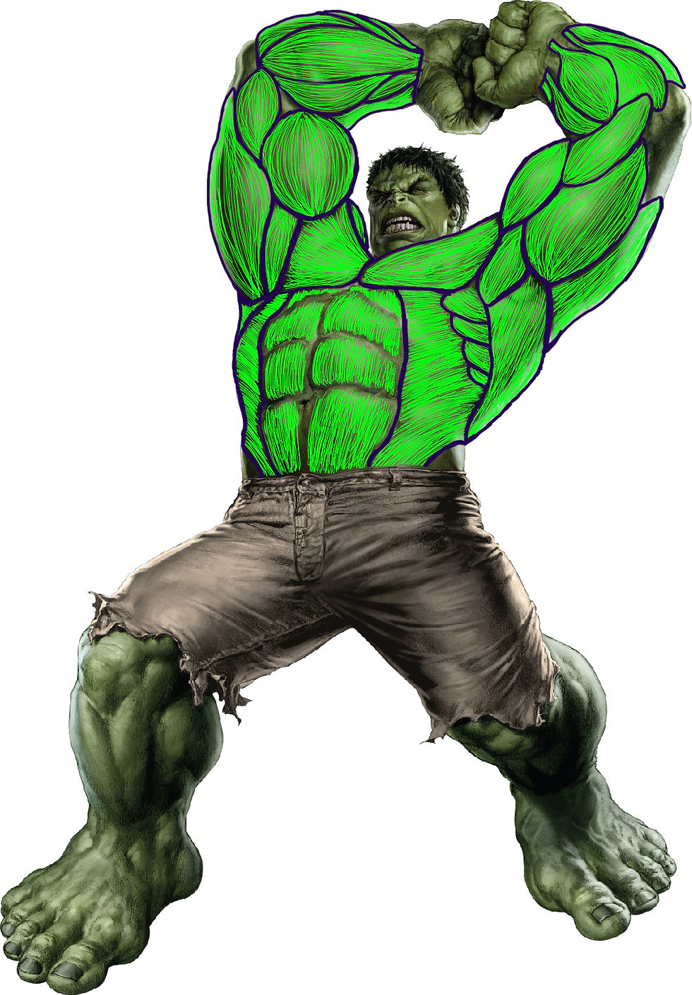 hulk 2 antebrazos