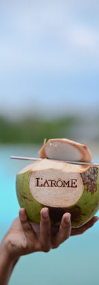 L'Arome consultancy service