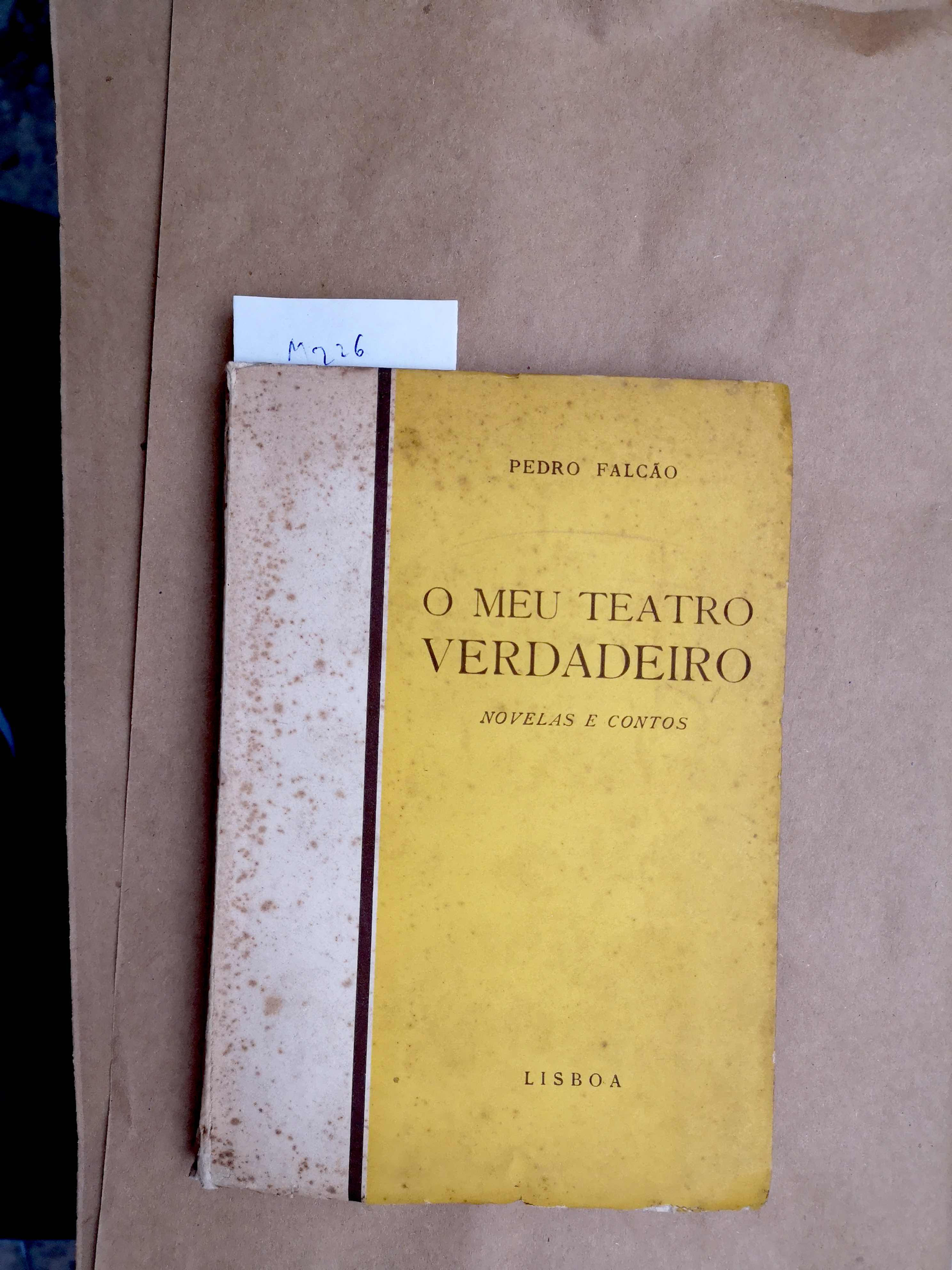 o meu Teatro Verdadeiro: novelas e contos
