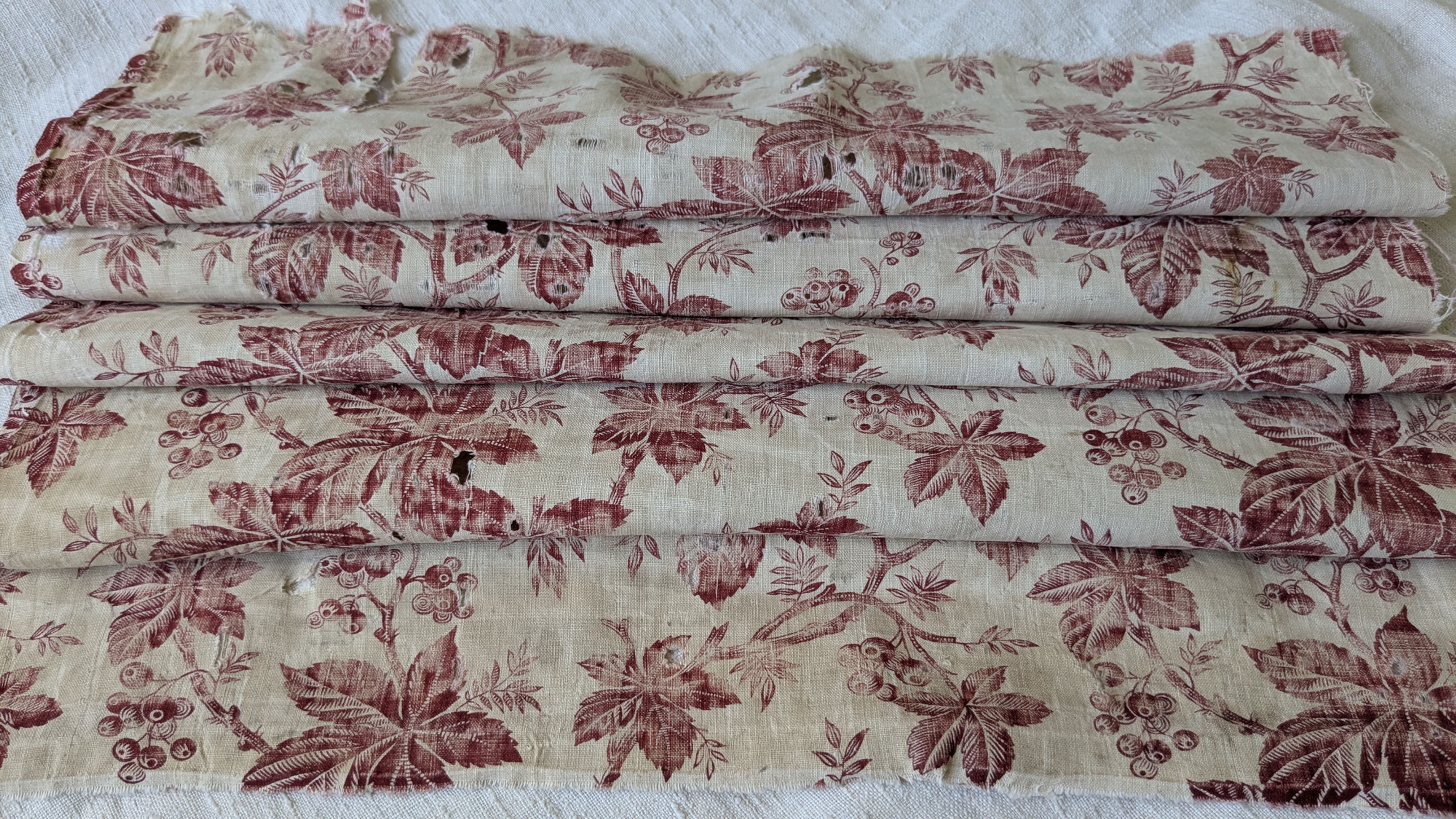 A 19th Century French Cotton Print Fabric Leafy Branches w/Berries