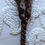 Thumbnail: Skein of Vintage Cotton Cording Brown in Color French