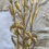 Thumbnail: Antique Gold Work Vestment Fragment Lilies & Grape on Vine