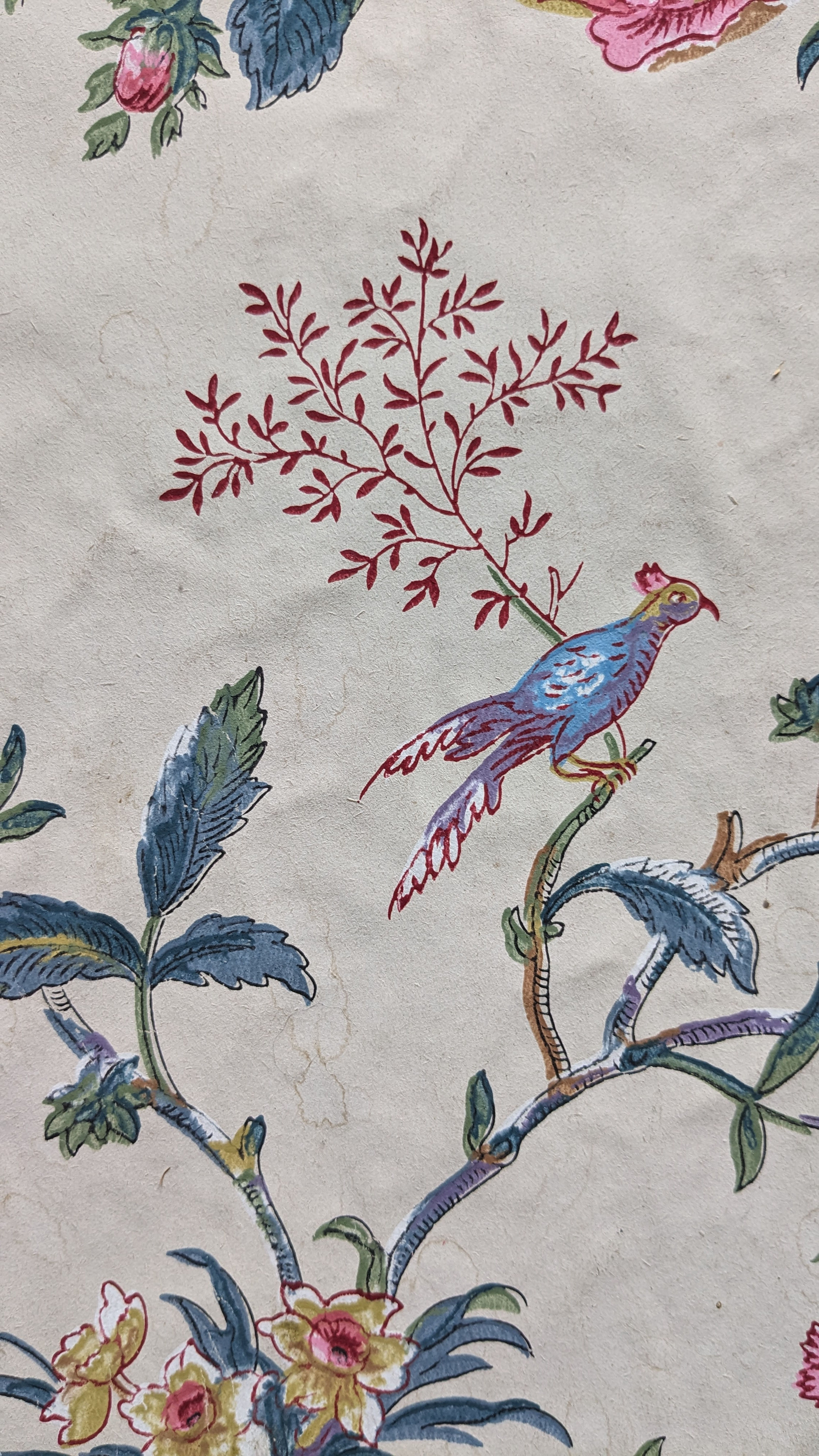 Antique French Paper Depicting Florals & Birds 19th Cent