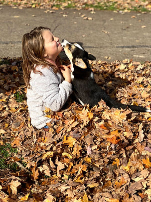 contact us for your next puppy