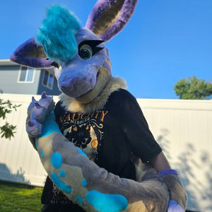 Jas the Kangaroo