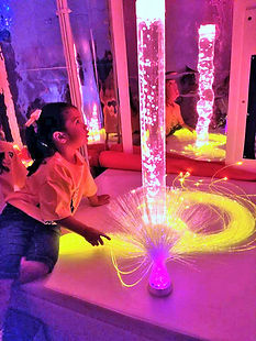 SWSRA Sensory EC 1 (2).jpg