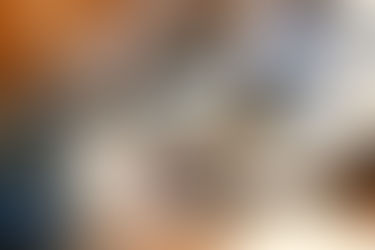 ERPNext Powering Smarter Restaurant Management