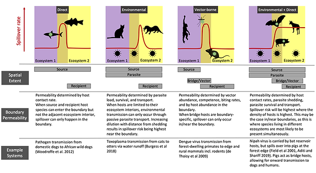 Figure 1.png